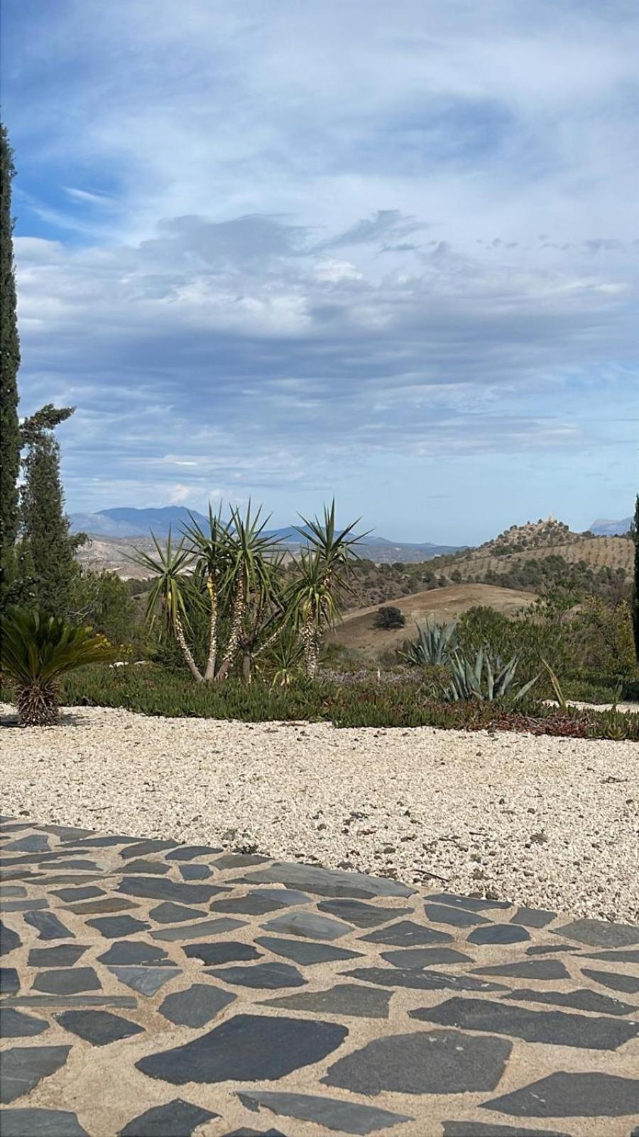 Casa Lamberdina Bed & Breakfast Fuensanta  Dış mekan fotoğraf