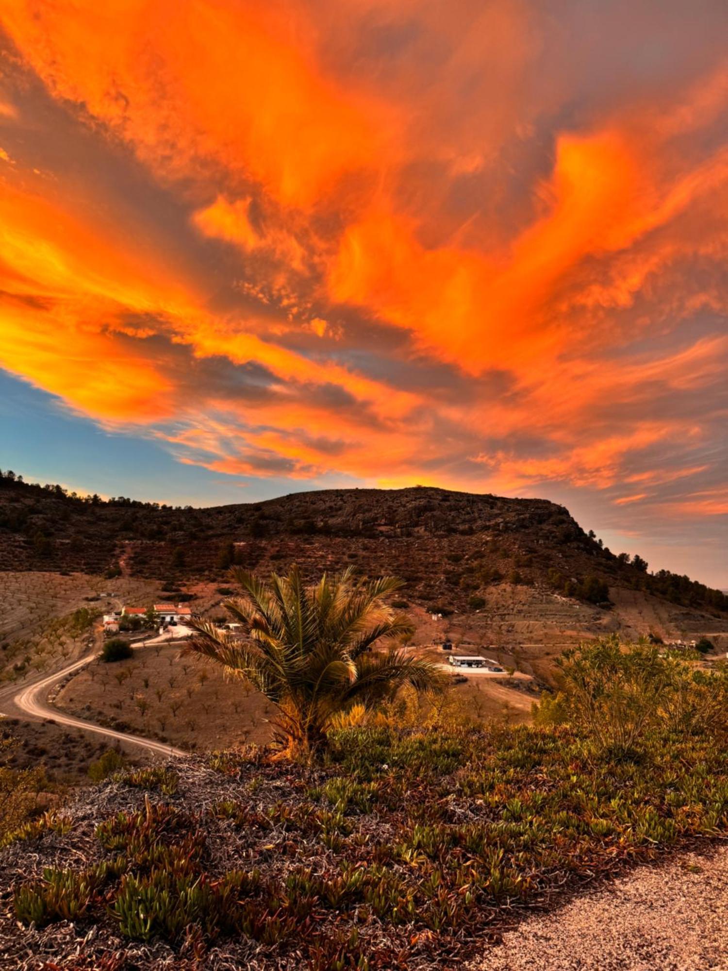 Casa Lamberdina Bed & Breakfast Fuensanta  Dış mekan fotoğraf