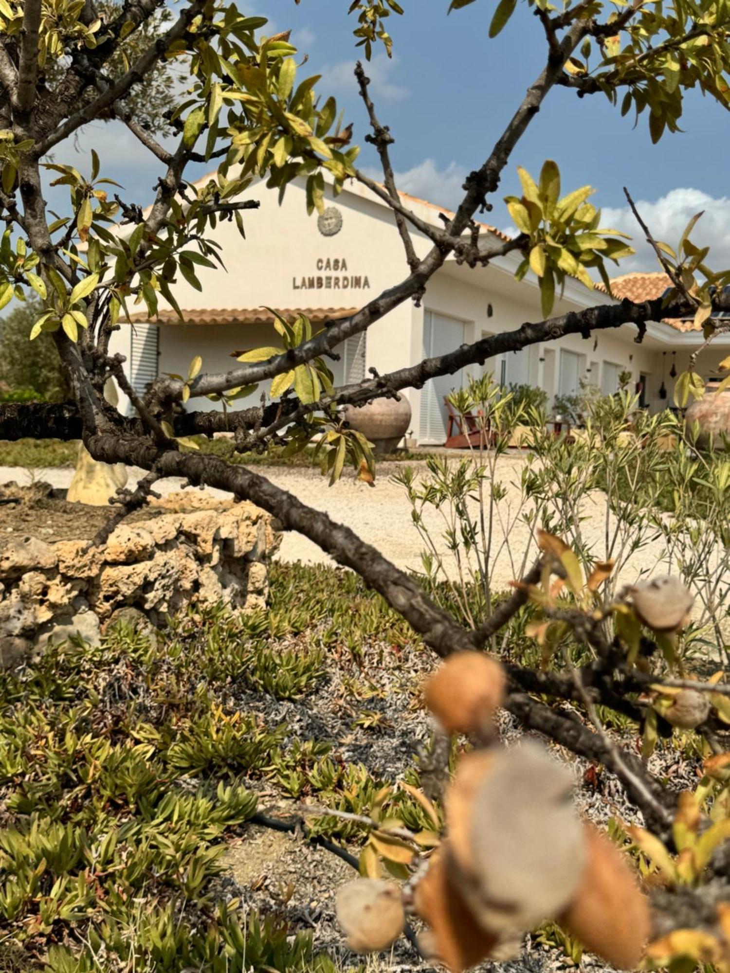 Casa Lamberdina Bed & Breakfast Fuensanta  Dış mekan fotoğraf